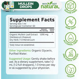 Emballage écologique Why Not Natural Molène, packaging respectueux de l’environnement.