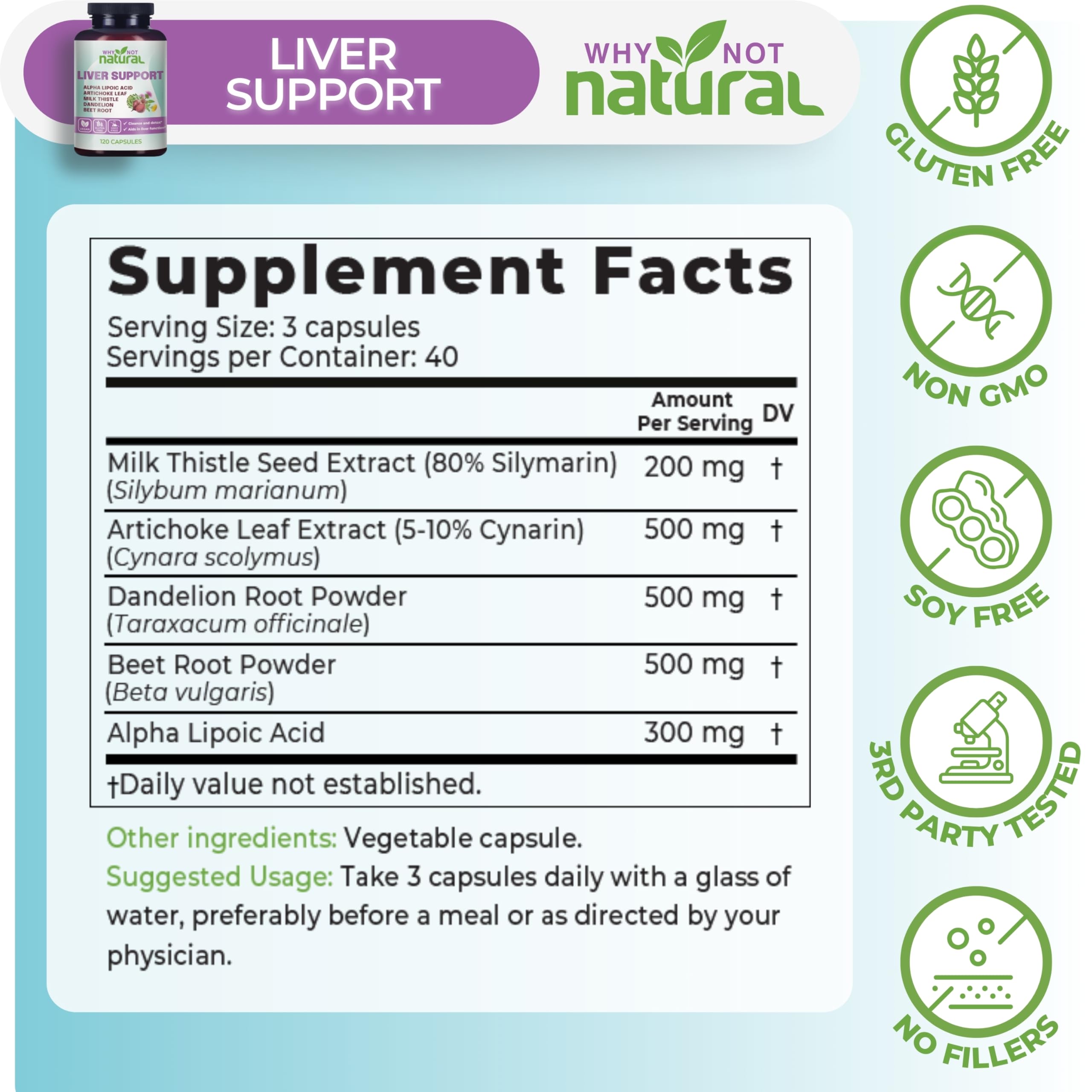 Why Not Natural Poudre de pissenlit - Poudre naturelle pour soutien hépatique potentiel.