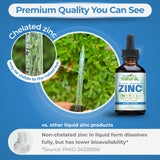 Why Not Natural Zinc Instructions Usage Quotidien : guide simple pour intégrer facilement le zinc dans vos routines.