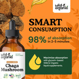Ingrédients vegan de Wild & Organic Chaga Drops, sans OGM et sans additifs artificiels.