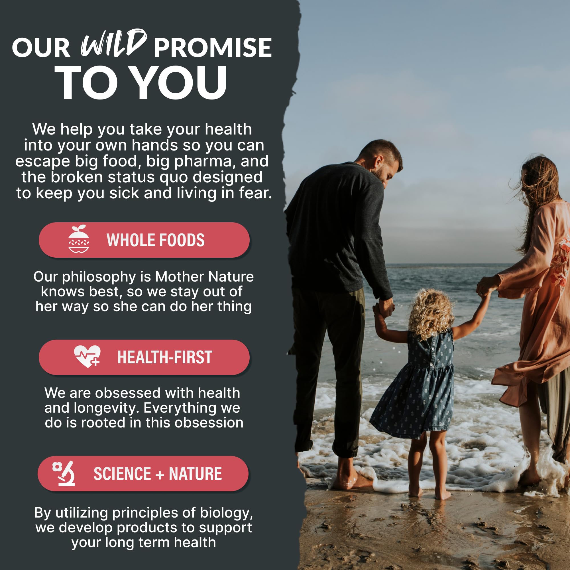 Packaging Wild Foods Creatine & Electrolytes prêt à emporter