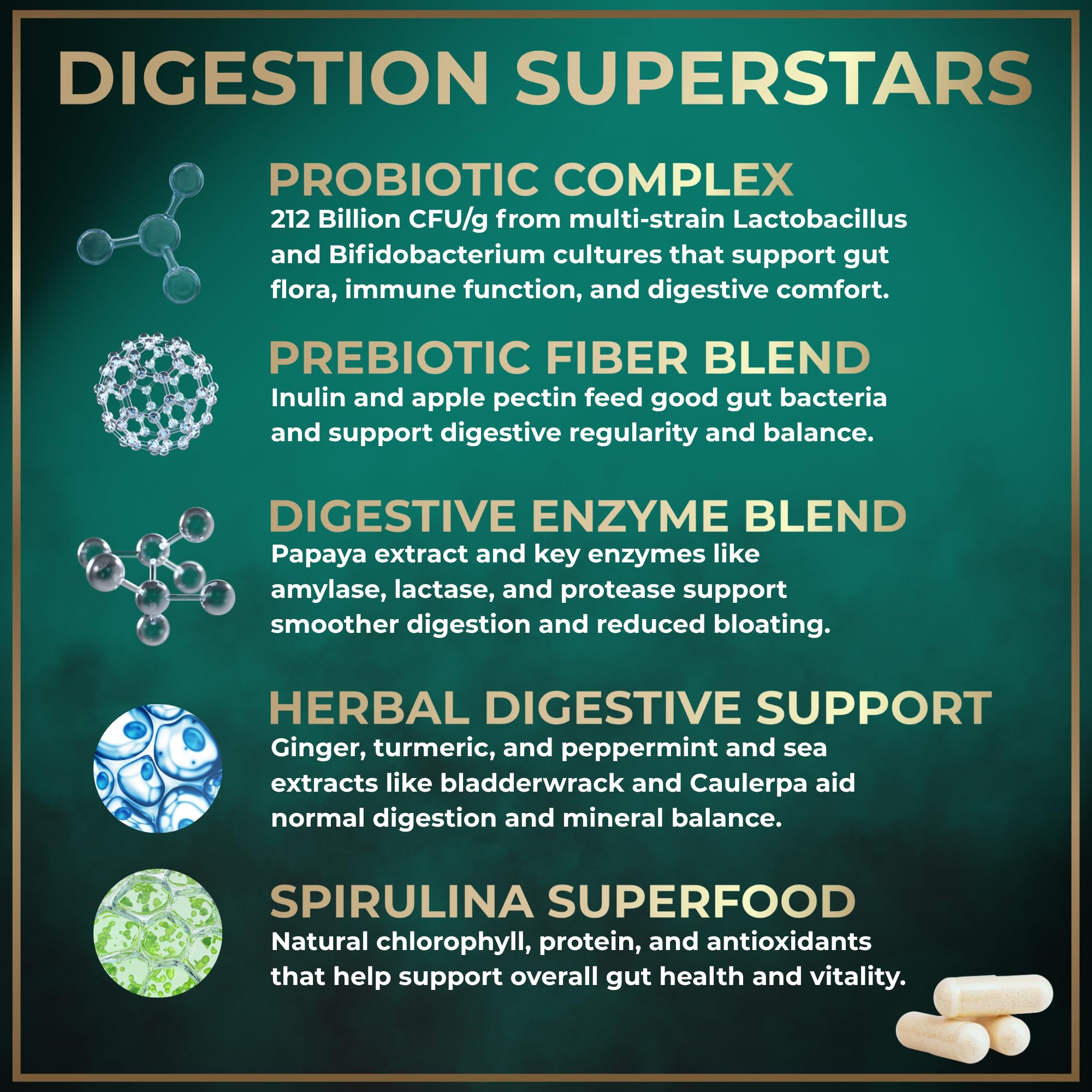 Prébiotiques et fibres dans Wild Fuel Digestives nourrissent les bactéries intestinales.