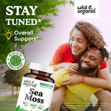 Wild & Organic capsules algues marines : étiquette indiquant ingrédients vegan et sans OGM