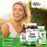Wild & Organic capsules algues marines : capsules dans la main pour usage facile