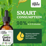 Wild & Organic Gotu Kola liquide ambré, goût naturel et douceur légère