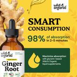 Gouttes de gingembre Wild & Organic versées dans un verre pour infusion légère