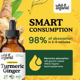 Wild & Organic Curcuma Gingembre : ingrédients visibles et racines fraîches.