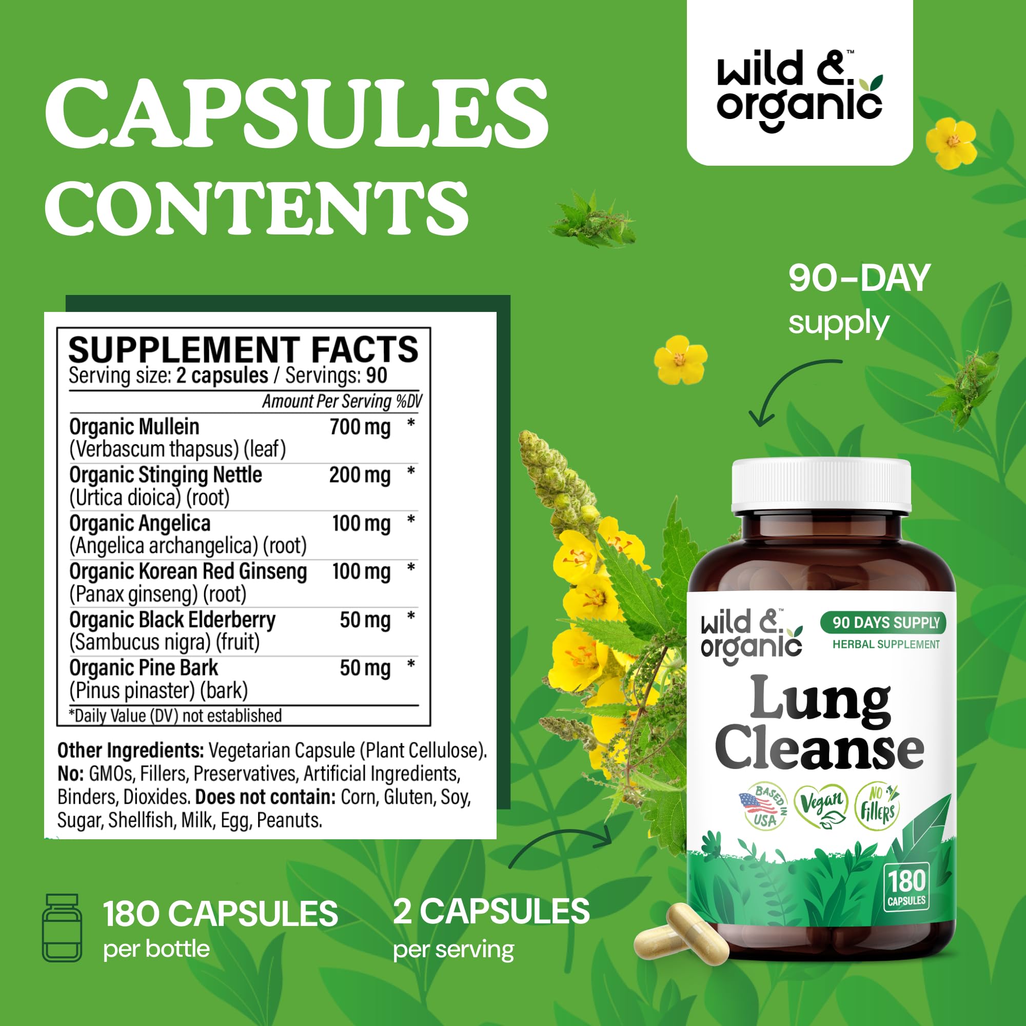 Ingrédients clé molene ortie angélique ginseng chez Wild & Organic