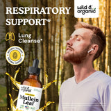 Flacon transparent Wild & Organic Molène gouttes pour dosage précis.