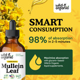 Ingrédients naturels Wild & Organic Molène gouttes pour une formule végan.