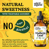 Sans alcool: Wild & Organic Molène gouttes, douceur pour la digestion.