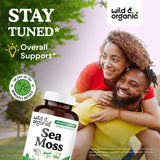 Wild & Organic Sea Moss Capsules etiquette visible, montre une étiquette claire et naturelle.