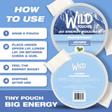 Wild Pouches sans nicotine alternative moderne au tabac.