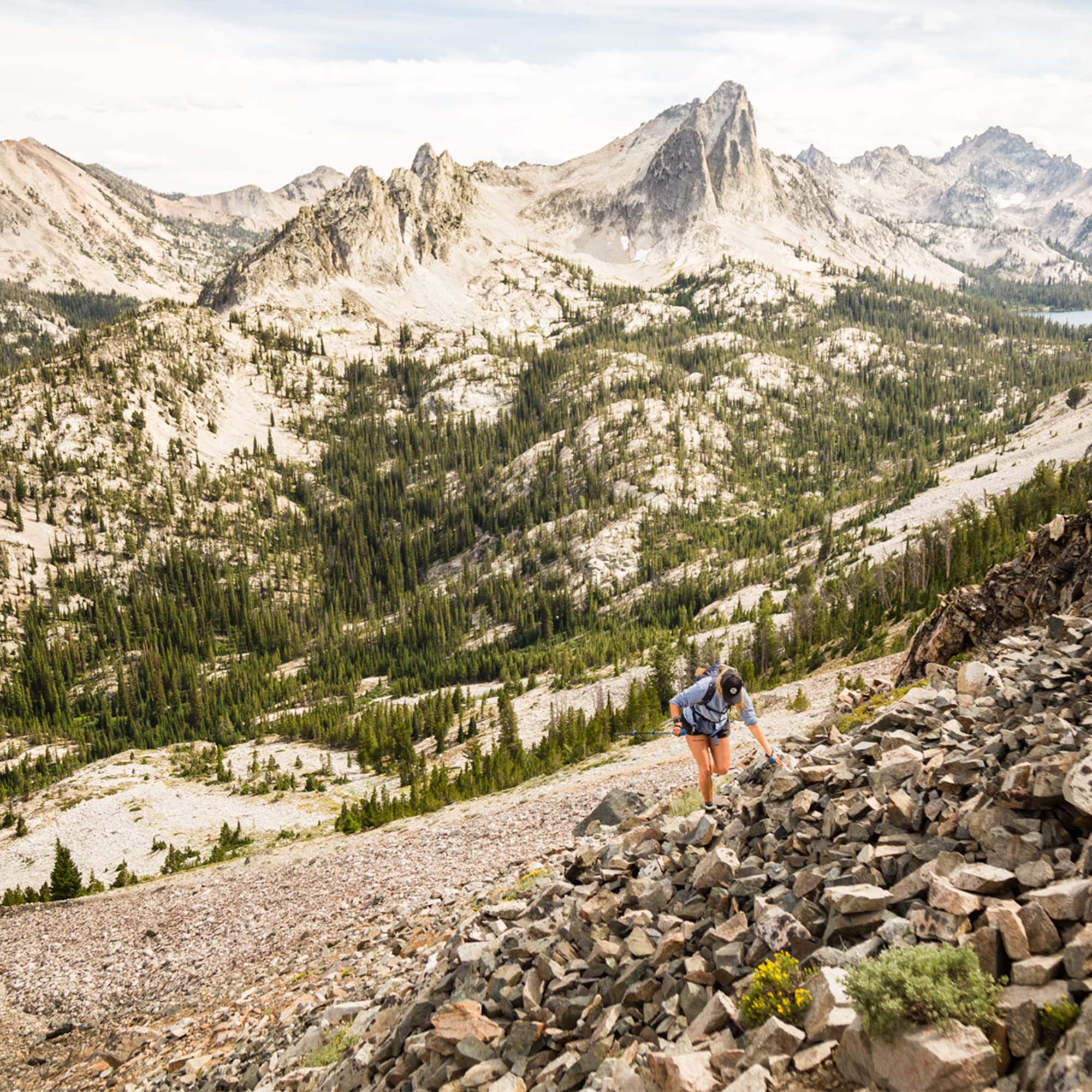 Altitude Advantage Wilderness Athlete – étiquette du produit et ingrédients végétaux naturels.
