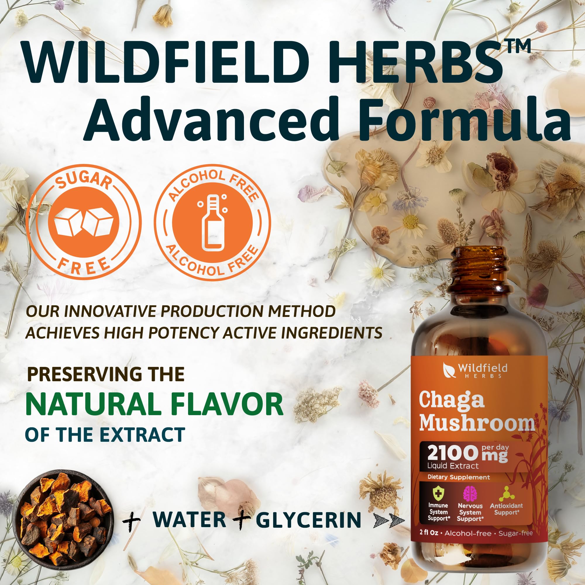 Verre de dégustation avec chaga Wildfield Herbs, dosage précis