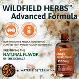 Verre de dégustation avec chaga Wildfield Herbs, dosage précis