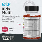 Wild Foods Gommes multivitamines enfants — prise facile et goût fruité.