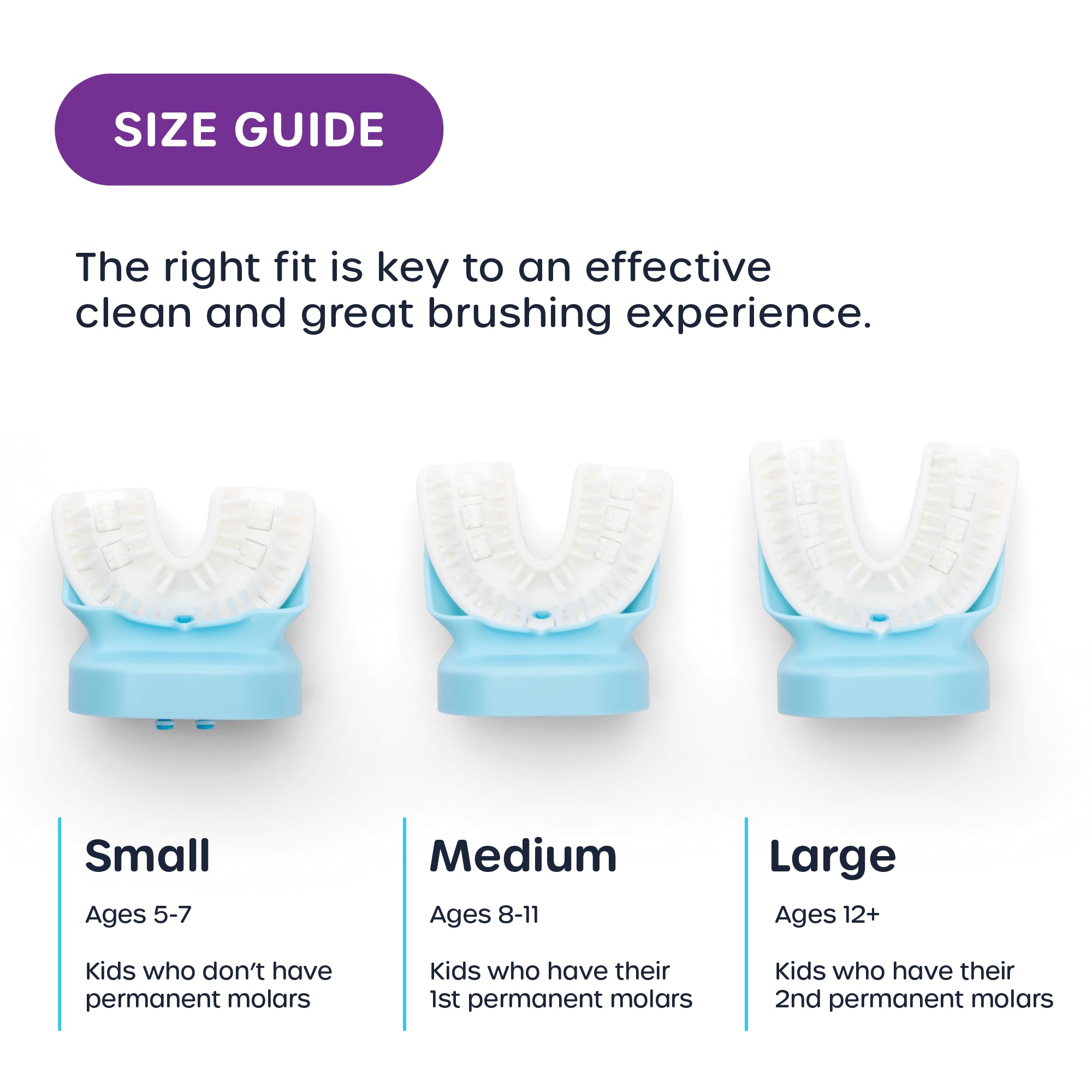 Rechargeable: brosse prête pour les séances quotidiennes.