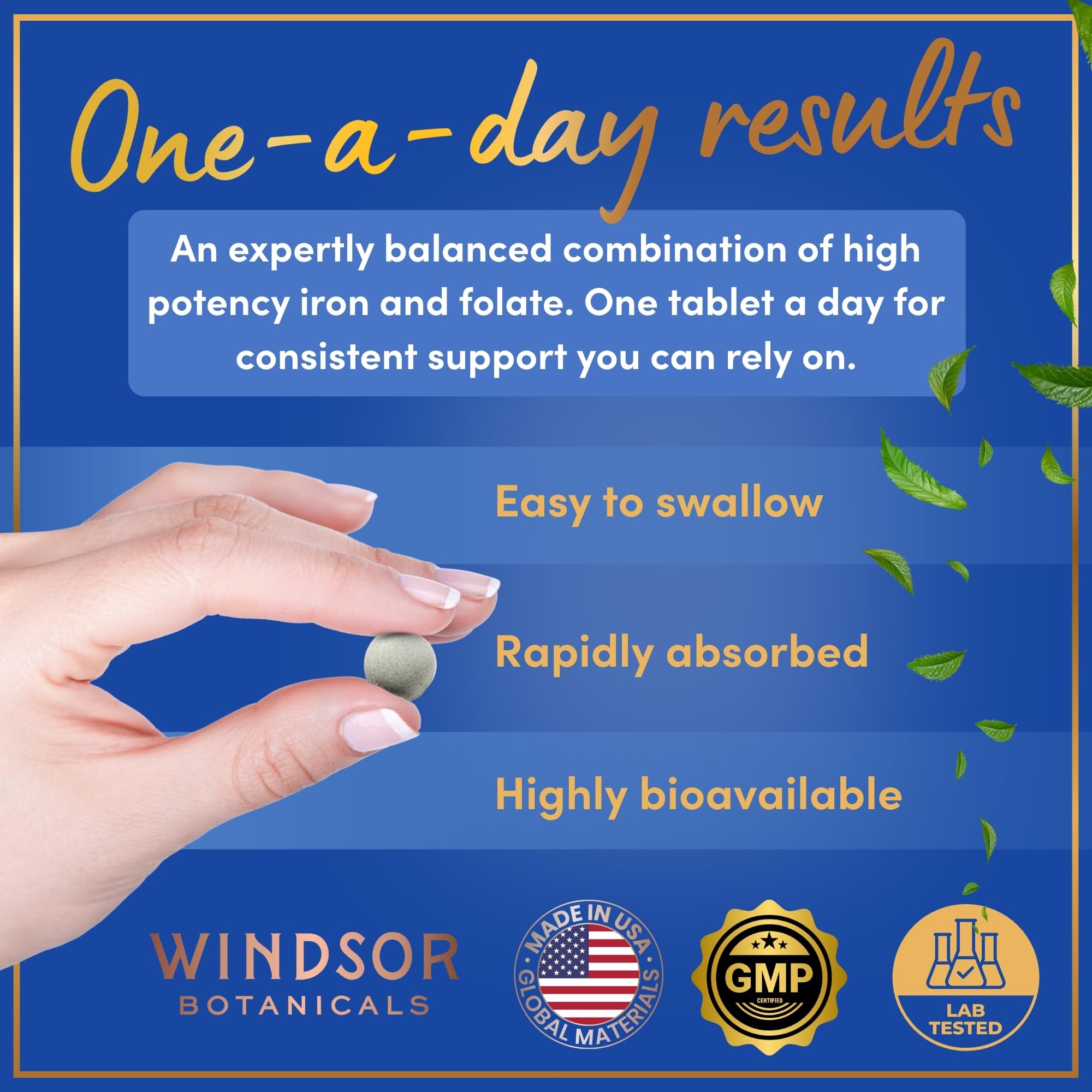 WINDSOR BOTANICALS – Tablette d'acide folique 400 mcg pour le soutien sanguin.