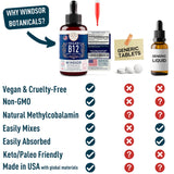 Processus d'absorption rapide des gouttes B12 Windsor Botanicals.