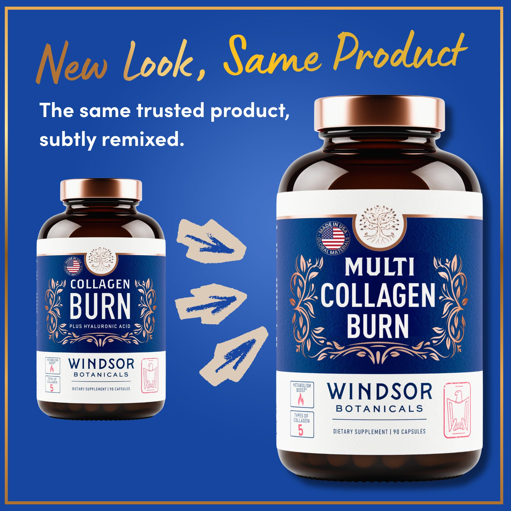 WINDSOR BOTANICALS – Capsules faciles à avaler au quotidien pour soutien global.