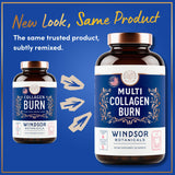 WINDSOR BOTANICALS – Capsules faciles à avaler au quotidien pour soutien global.