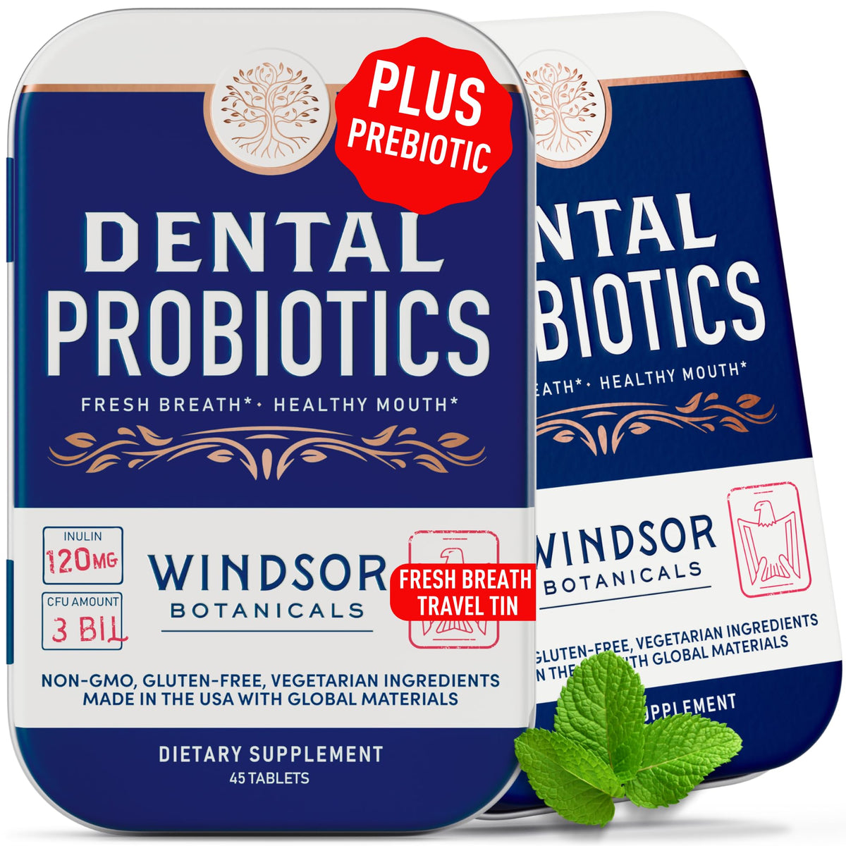 WINDSOR BOTANICALS – Bouteille voyage de probiotiques dentaires pour un souffle frais.