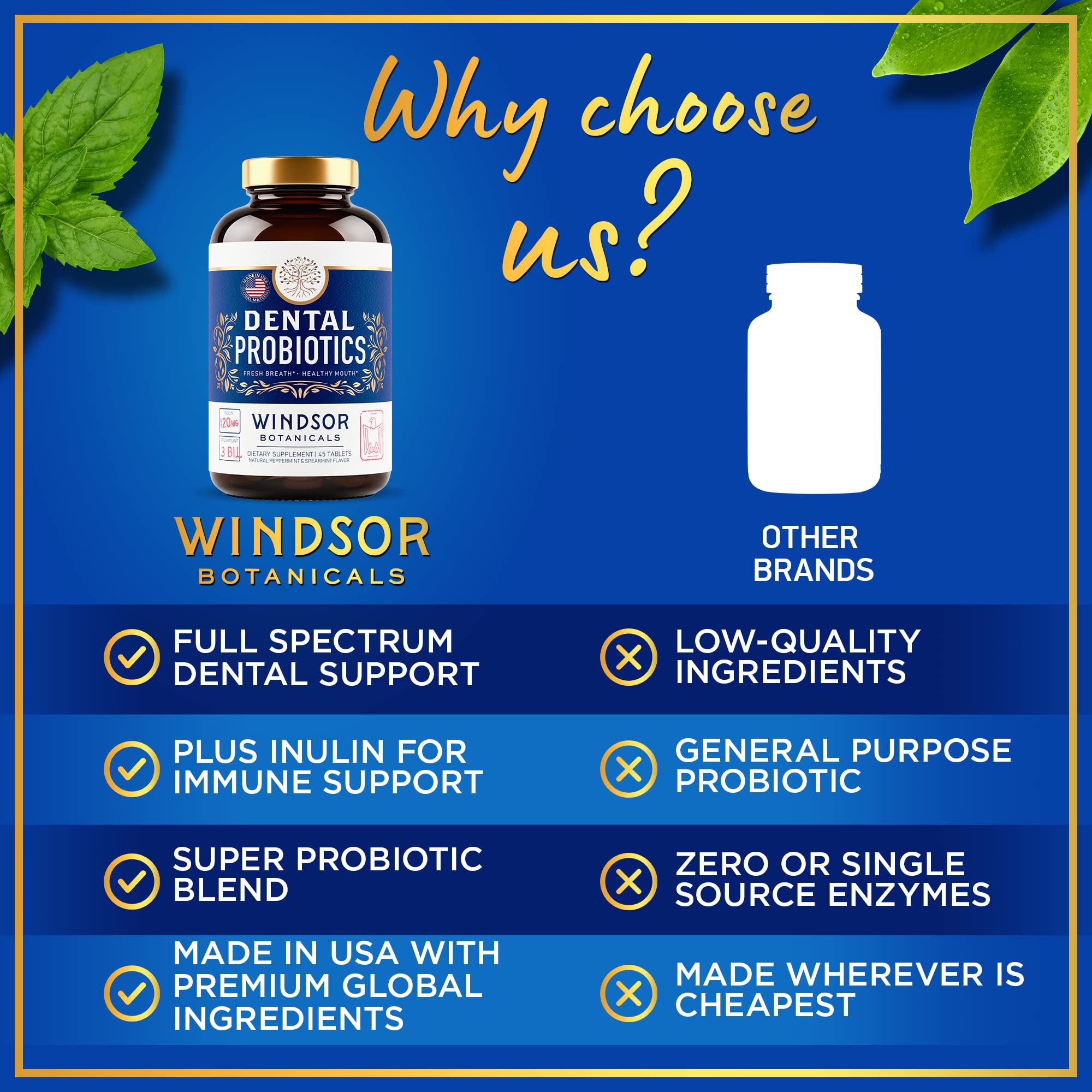 WINDSOR BOTANICALS – inuline prébiotique, soutien du microbiome buccal.