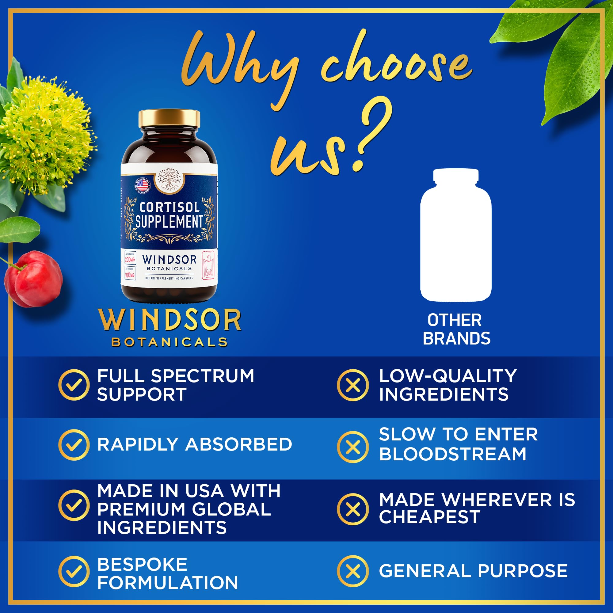 L-Tyrosine Windsor Botanicals, capsule prête à avaler, aide à la concentration