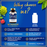 L-Tyrosine Windsor Botanicals, capsule prête à avaler, aide à la concentration