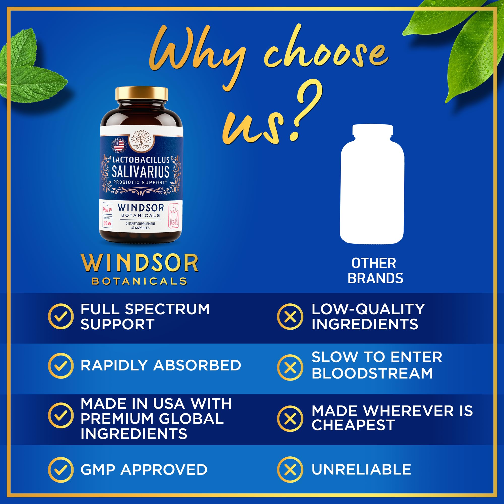 Boîte Windsor Botanicals — 60 gélules sans gluten et sans OGM.
