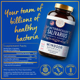 Lactobacillus Salivarius Windsor gélules, soutien quotidien des dents et gencives.