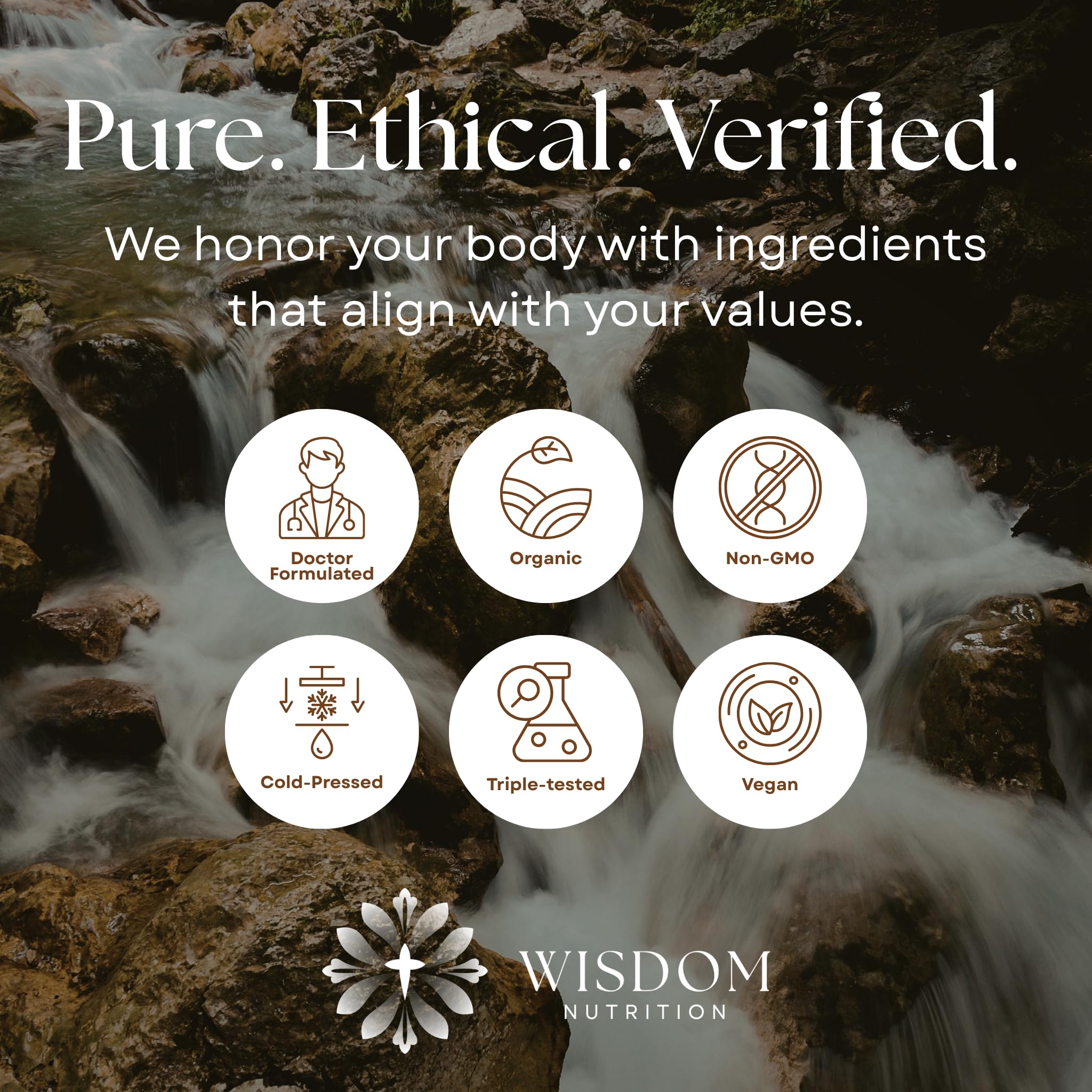Bien-être global Wisdom Nutrition; plantes complètes pour vitalité et résilience