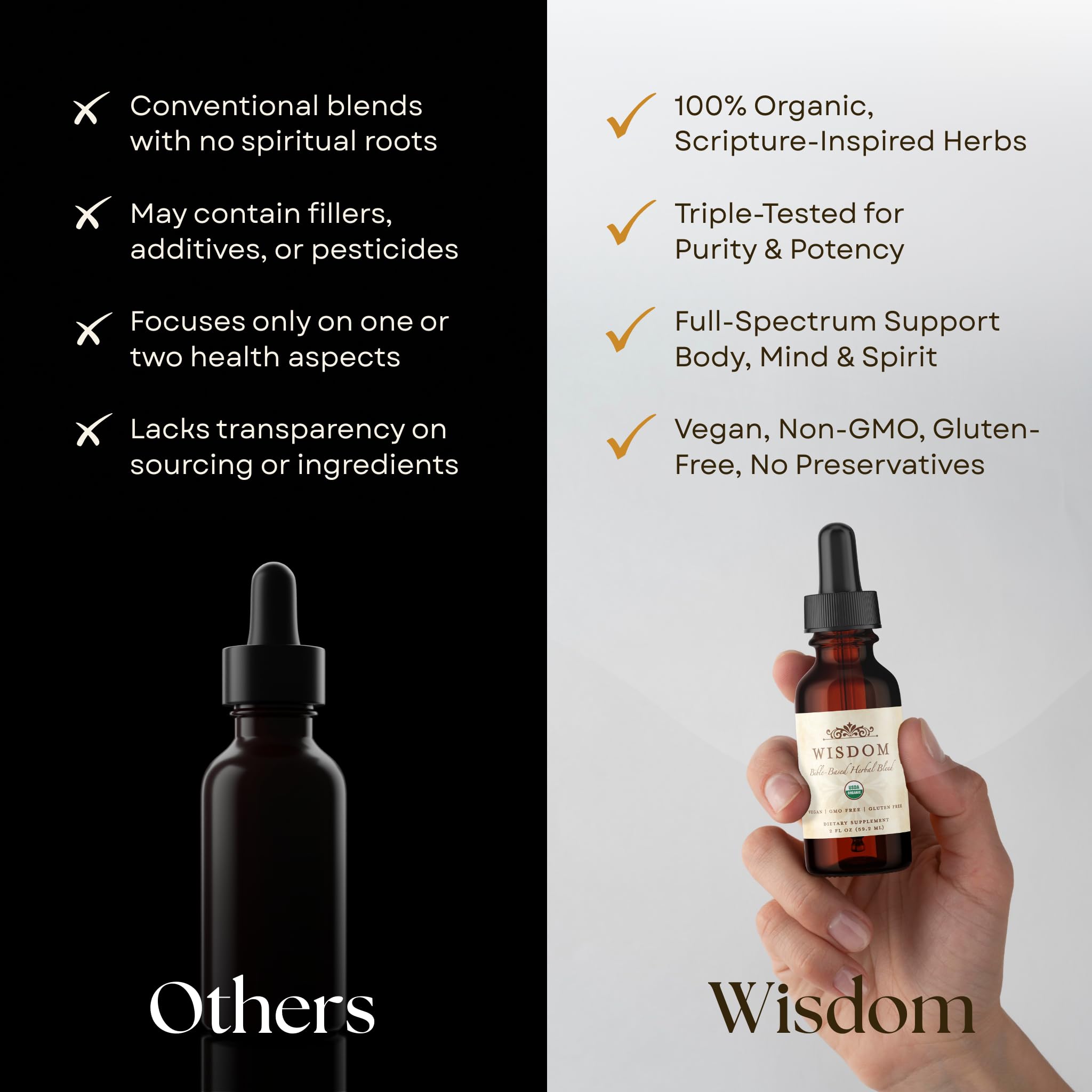 Énergie et concentration quotidiennes avec Wisdom Nutrition pour la clarté mentale