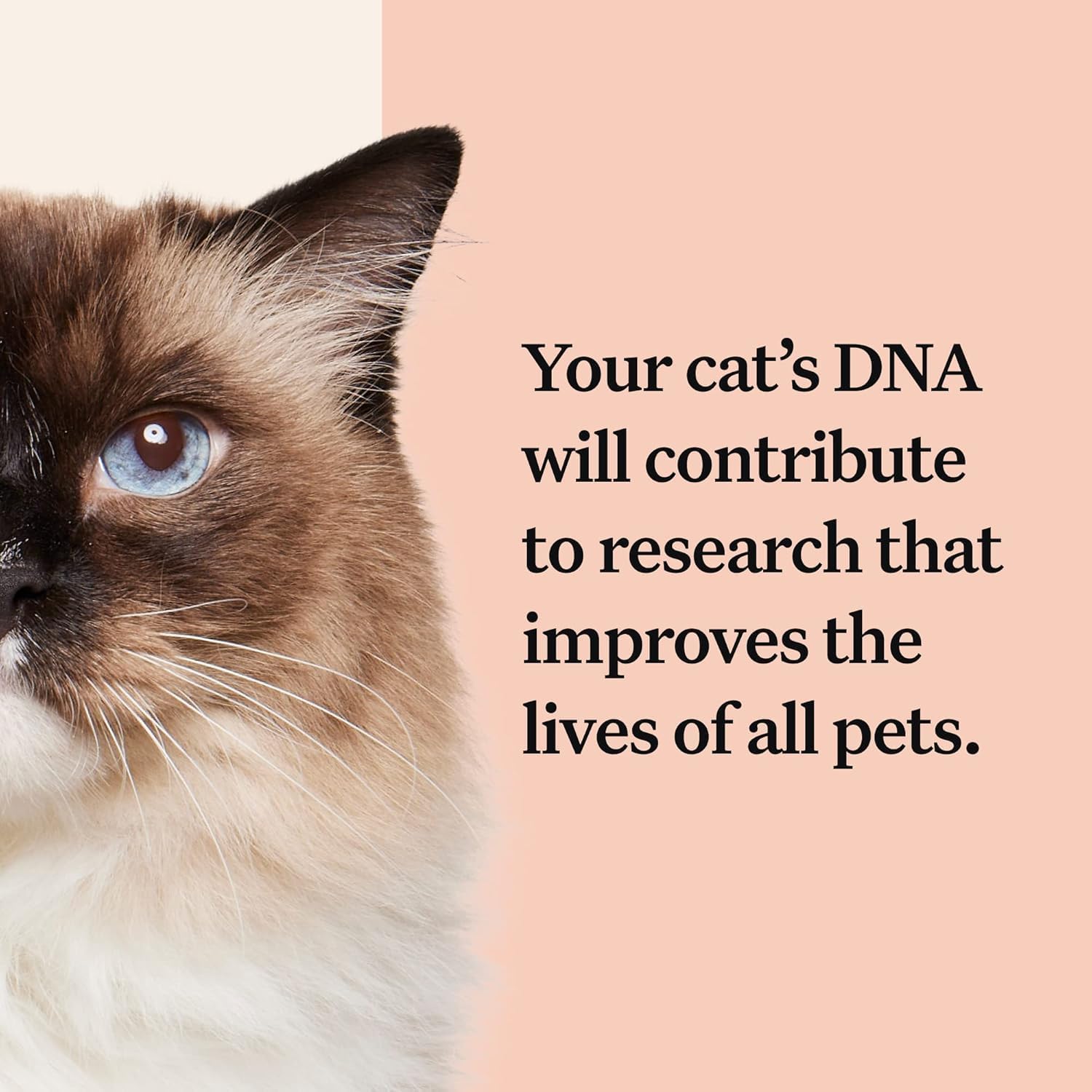 Emballage Wisdom Panel Complete pret a l'envoi.