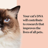 Emballage Wisdom Panel Complete pret a l'envoi.