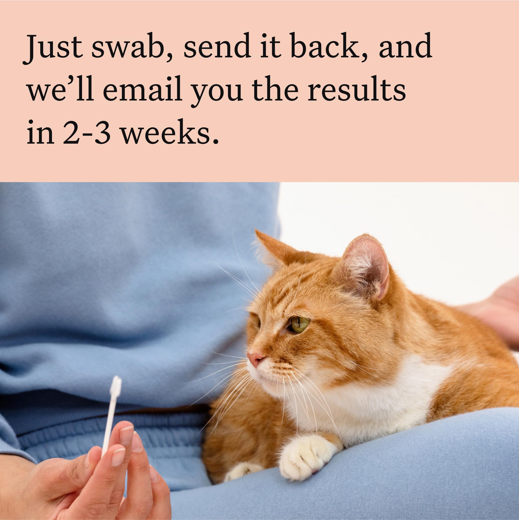 Wisdom Panel Complete : étapes simples pour obtenir vos résultats.