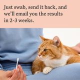 Wisdom Panel Complete : étapes simples pour obtenir vos résultats.