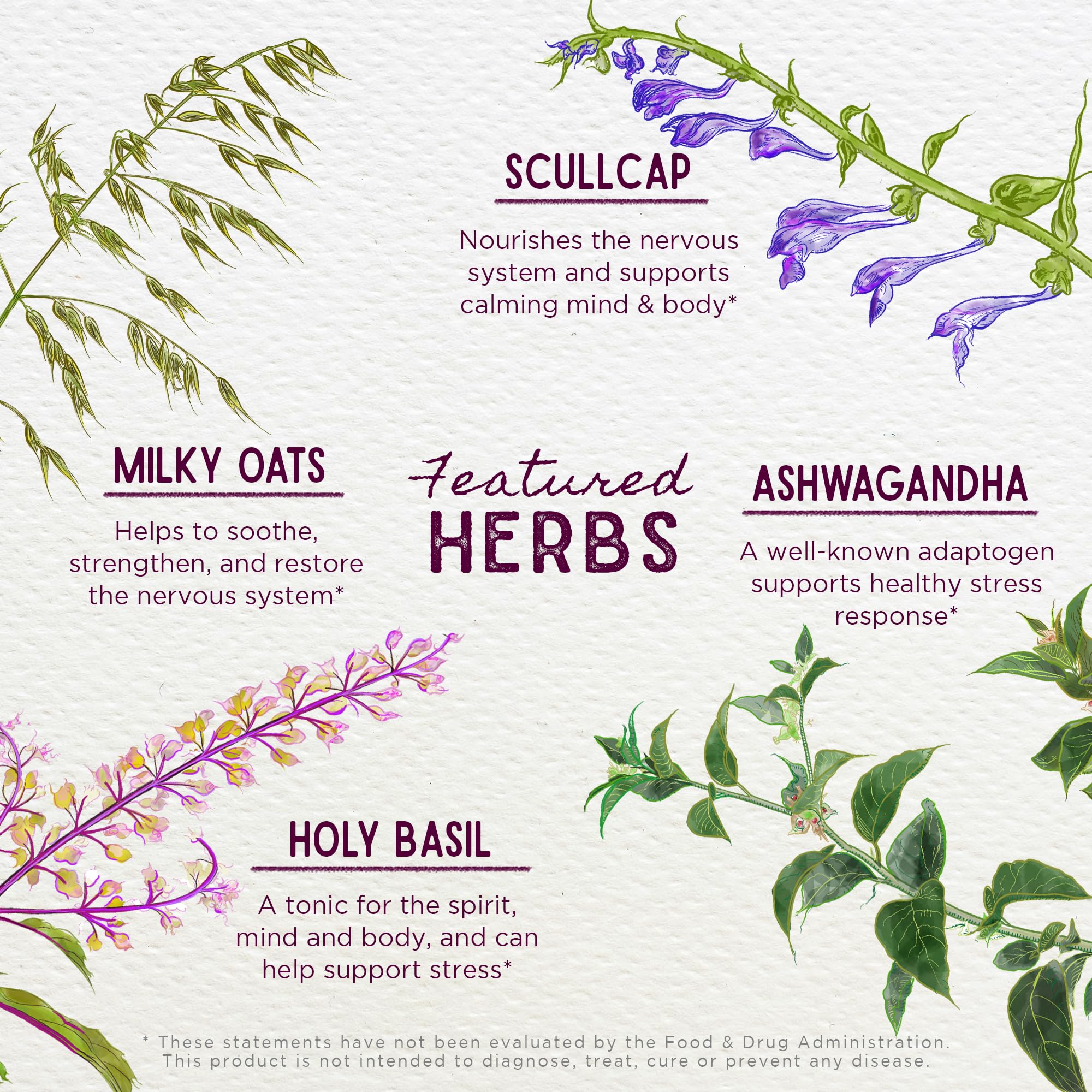 WishGarden Deep Stress avec Ashwagandha – mélange d’herbes séchées et adaptogènes.