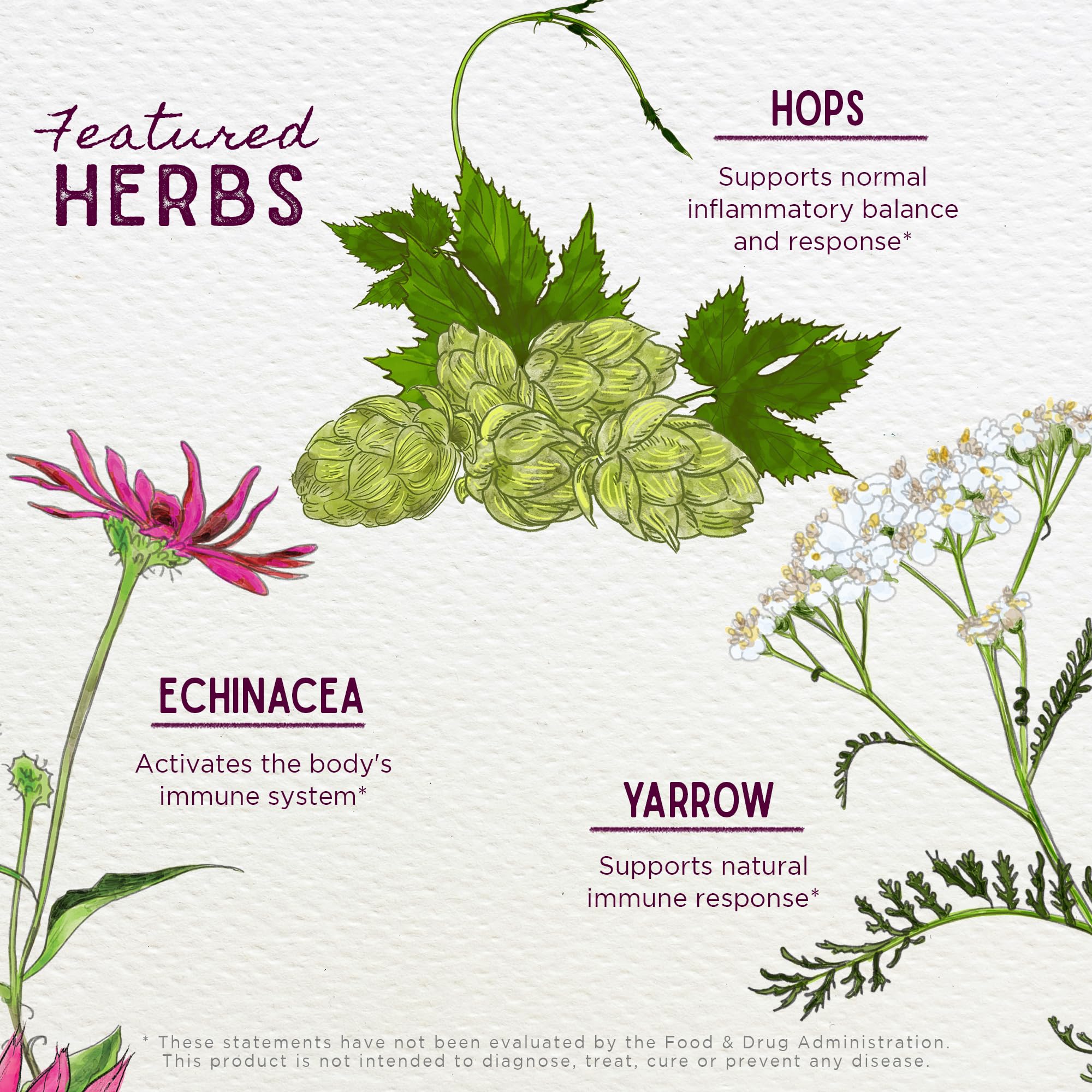 WishGarden Happy Ducts: herbes séchées pour un soutien naturel pendant l'allaitement.