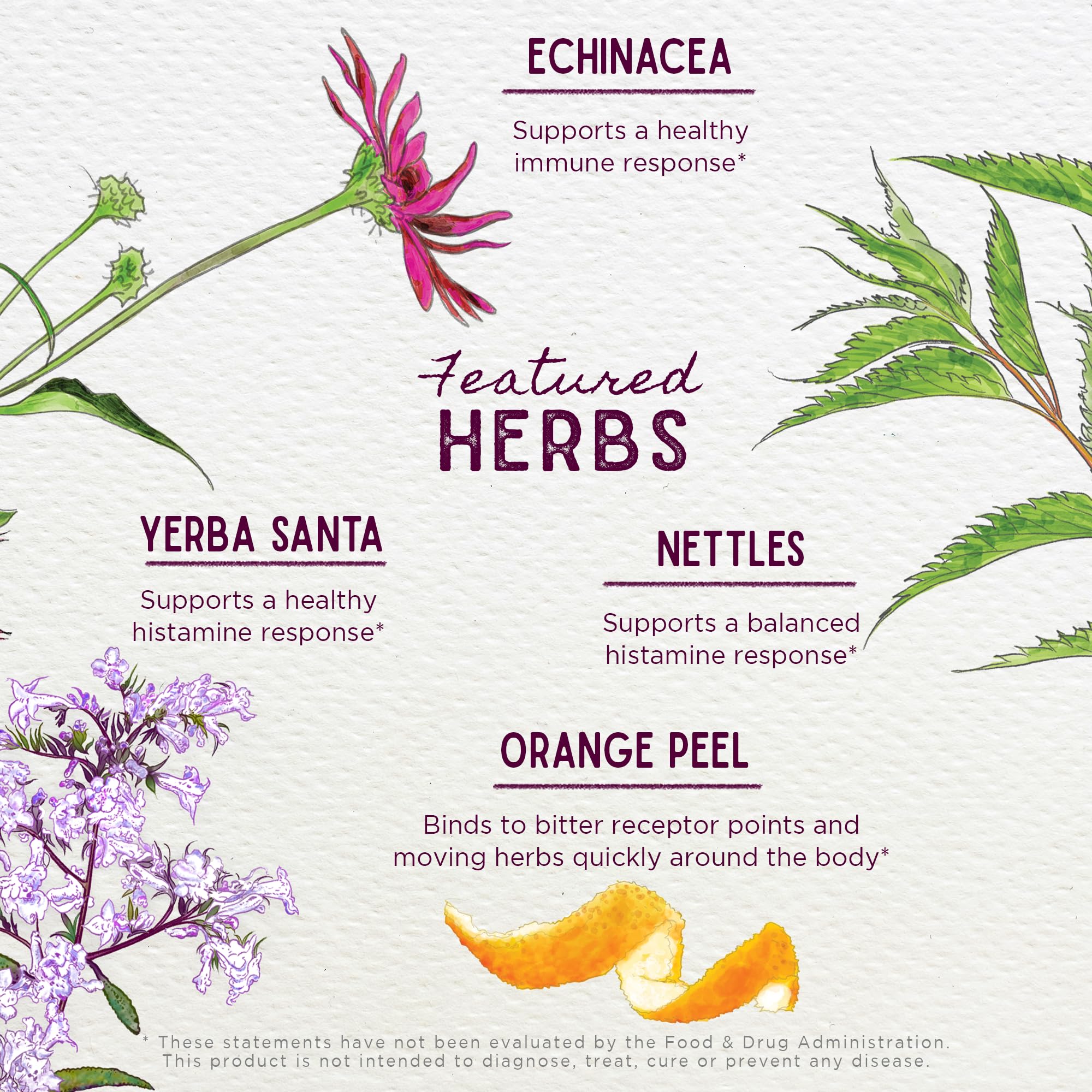 WishGarden Kick-Ass Allergie & Sinus – herbes sauvages et organiques pour le confort des sinus.