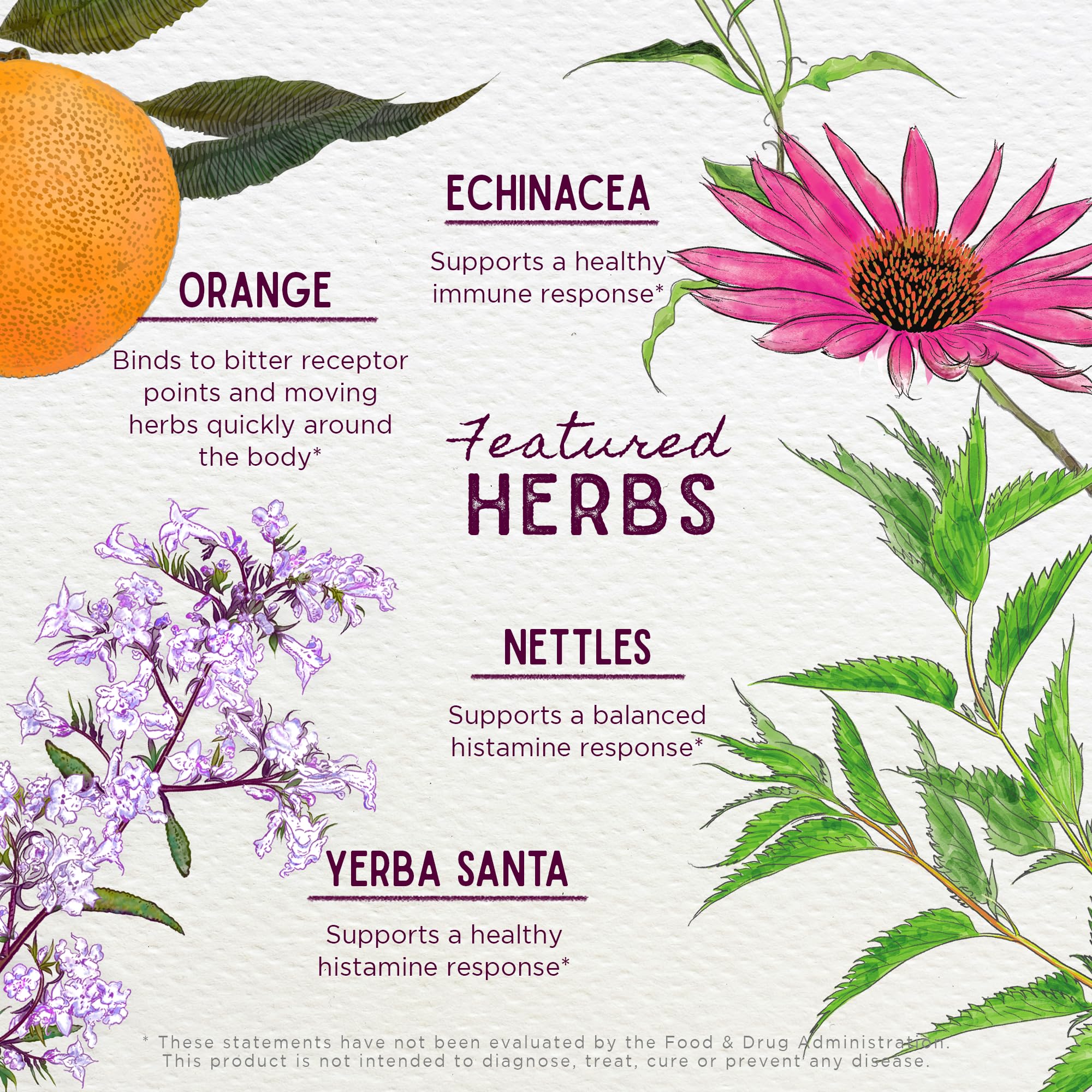 WishGarden Kick-Ass Allergy — plantes Echinacea et Yerba Santa visibles dans la composition.