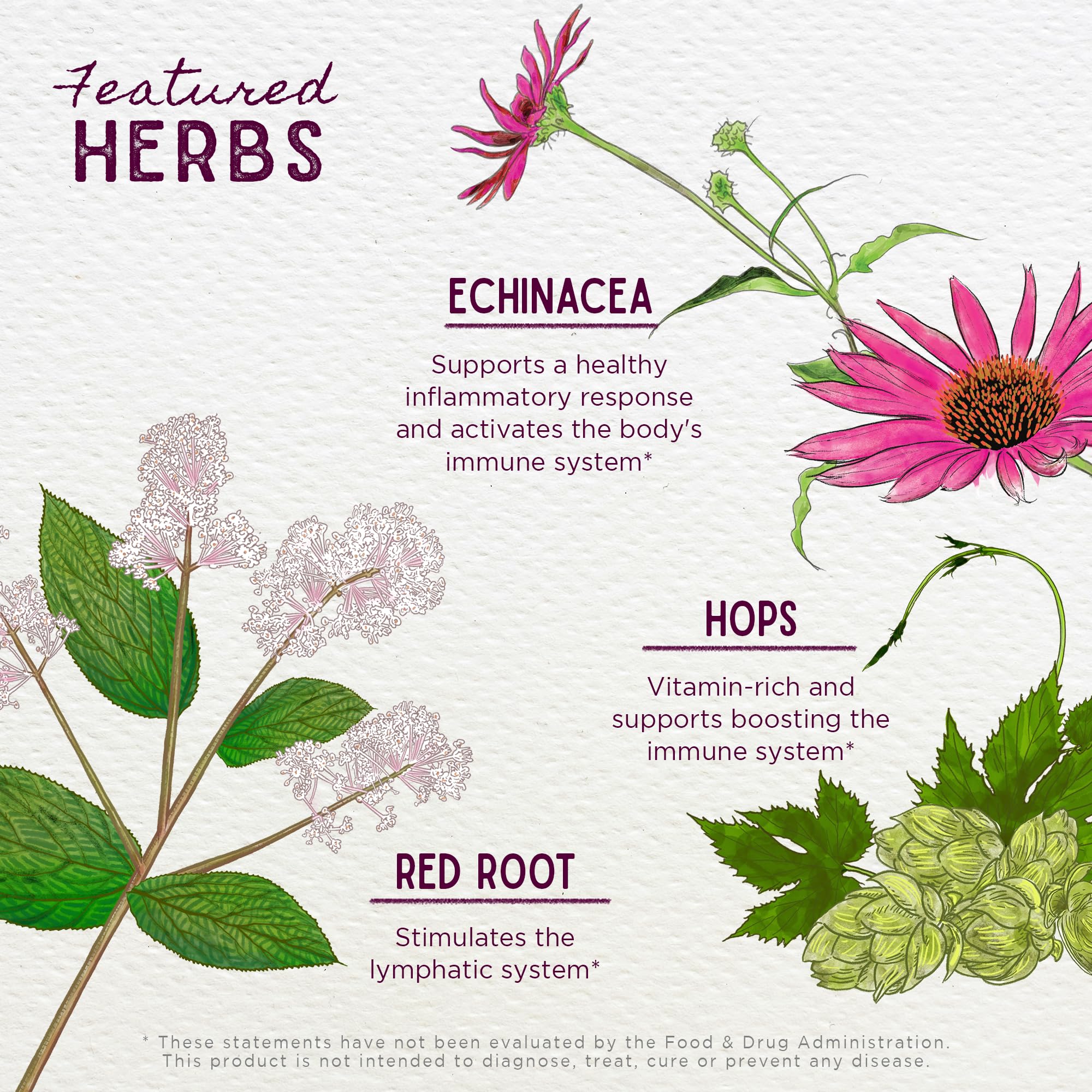WishGarden Kick-Ass Biotic: echinacee et goldenseal soutiennent l'immunité