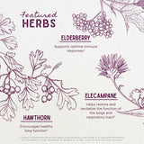 WishGarden Serious Cough AM — plante de sureau noir apportant fragrance et bienfaits