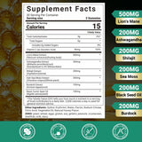 Gommes Wiszeen avec ashwagandha et shilajit, apportant des minéraux et vitalité.
