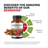 Wonder Family Berberine et curcuma: formulation renforcée pour l'équilibre général.