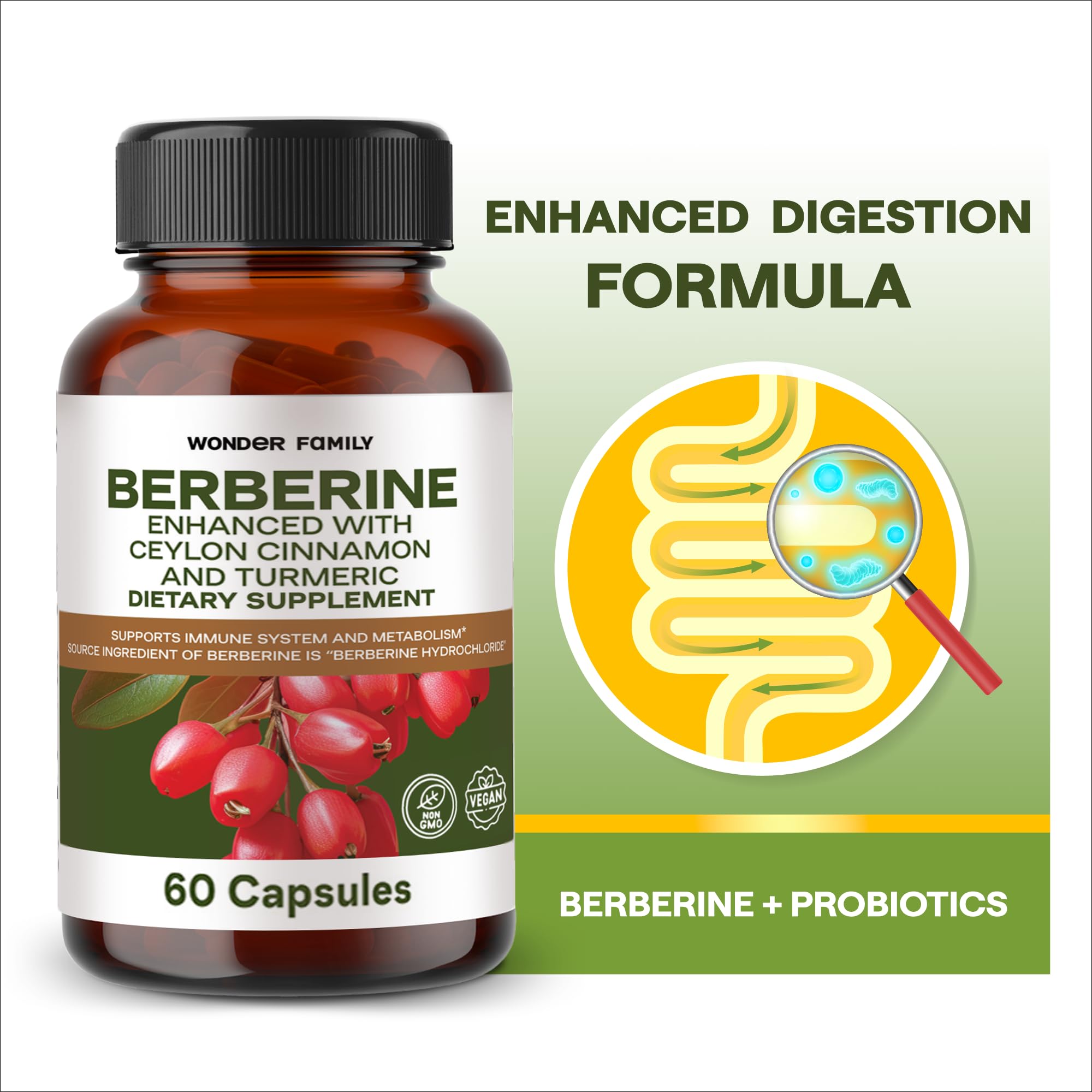 Berberine avec probiotiques, soutien potentiel à l'équilibre intestinal.