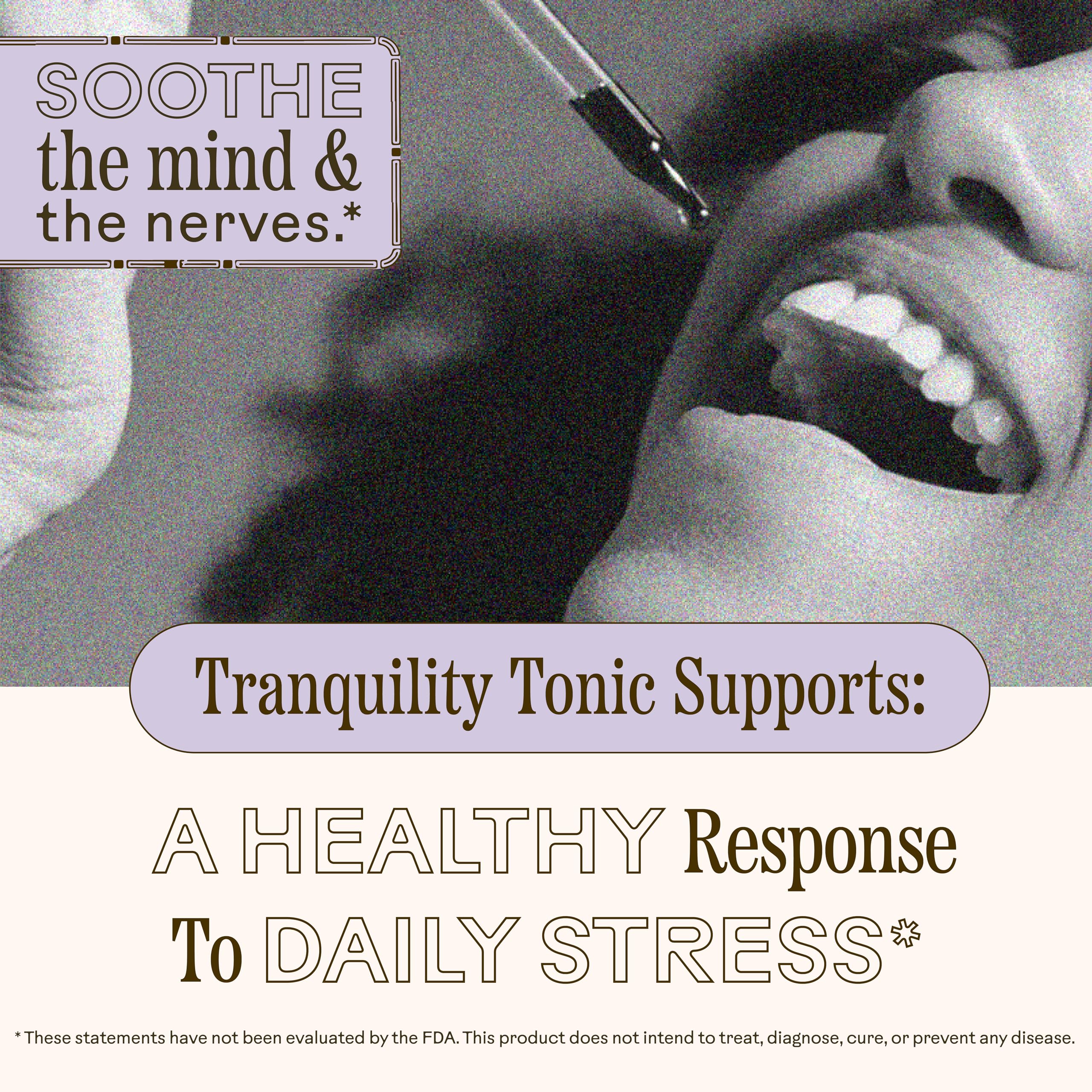 Liste d’ingrédients biologiques du mélange Tranquility Tonic.