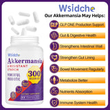 Wsidche gélules Akkermansia compactes, facilité d'ingestion pour le quotidien
