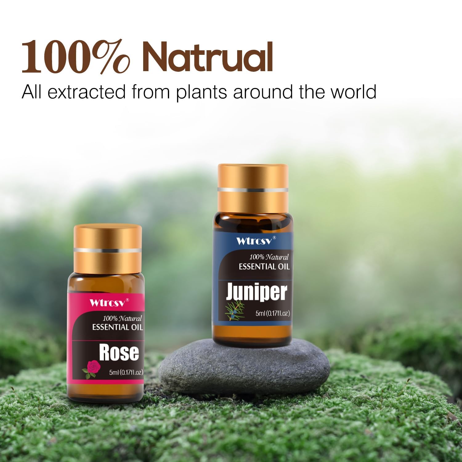 Wtrcsv patchouli, note boisée durable pour ambiance zen
